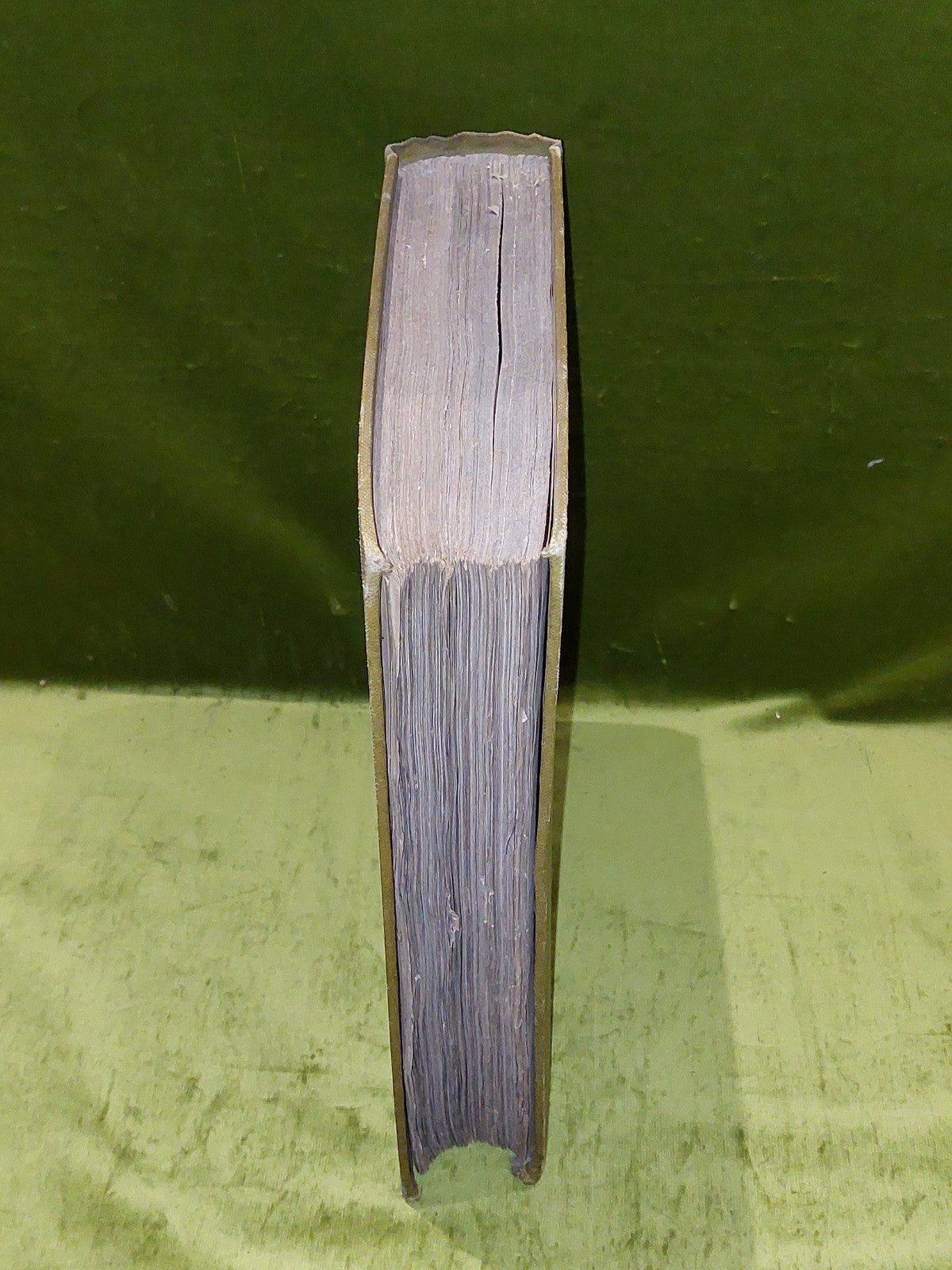 The Memorial Catalogue of the Old Glasgow Exhibition 1894. Limited Edition.1