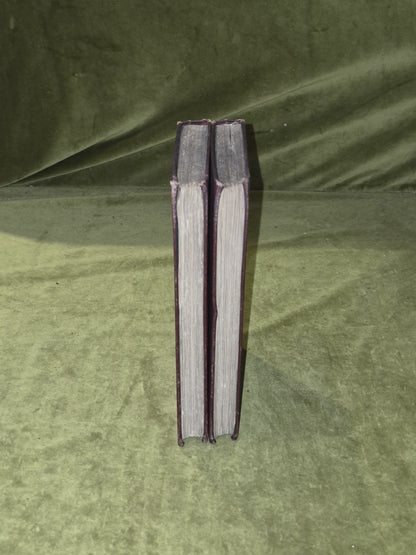 The Fixed Period in 2 Volmes - Anthony Trollope , Blackwood 1882 1st Edition7