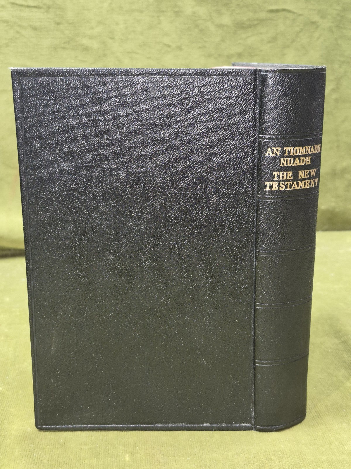 Tiomnadh Nuadh Biobull 1933 Comunn-Bhiobull Duthchail Na H-Alba1