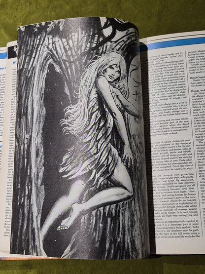 AD&D Players Handbook - 1989 2nd Edition Advanced Dungeons and Dragons4