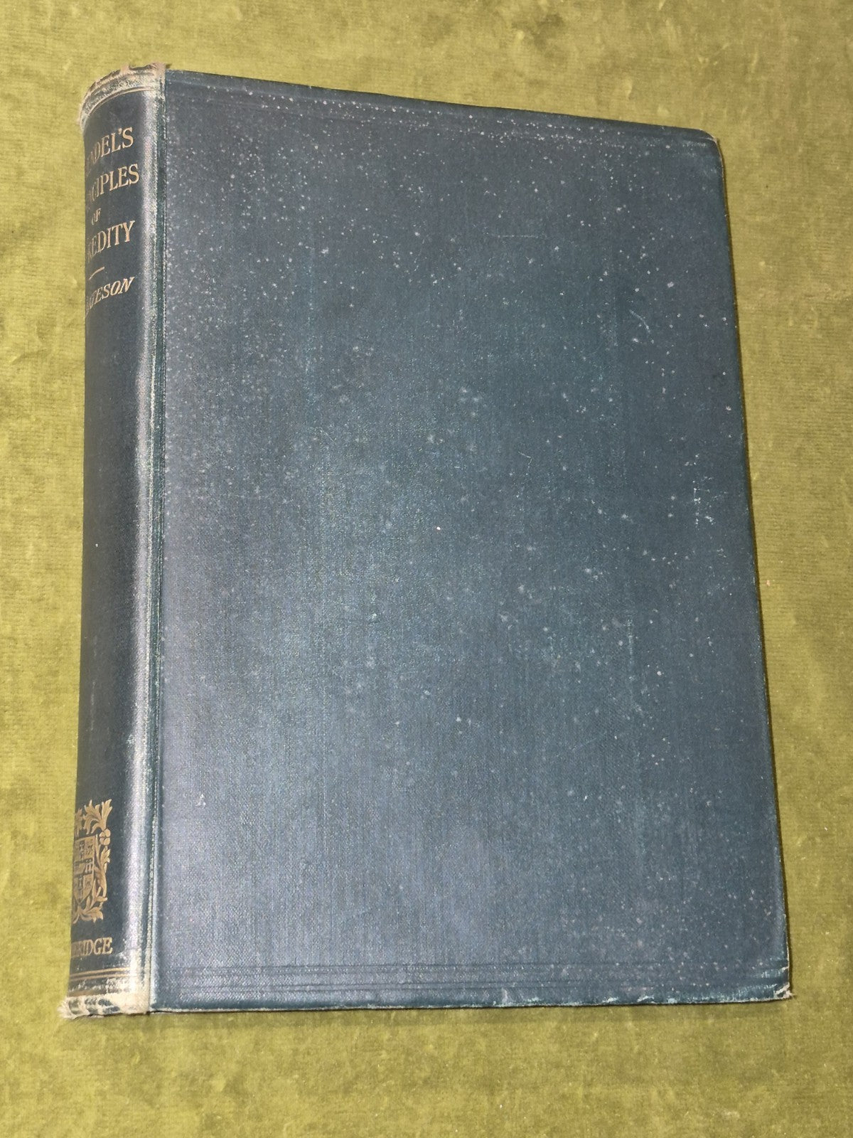 (1913) WILLIAM BATESON - MENDEL’S Principles of Heredity - Cambridge Vg HB1