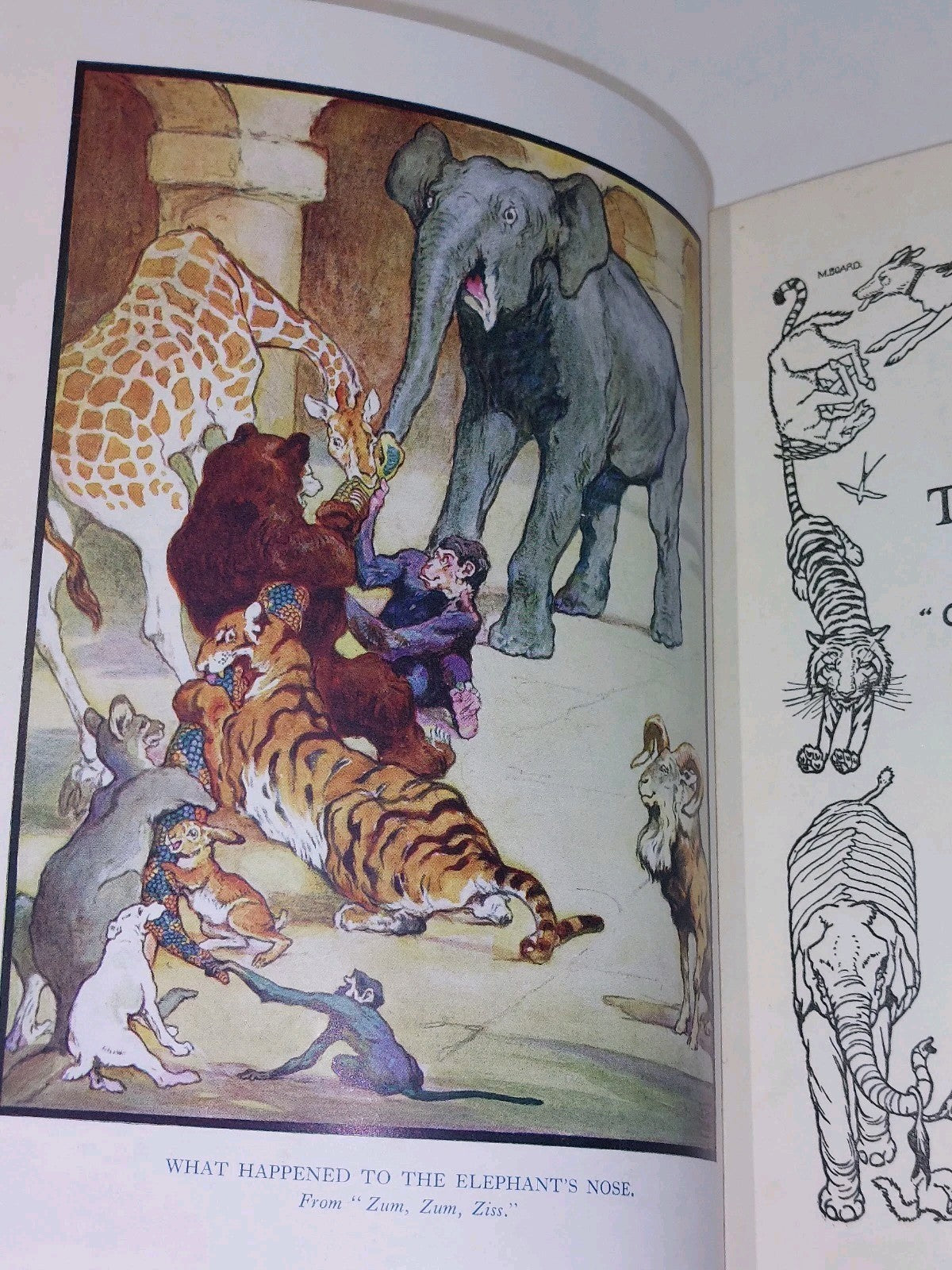 Told by the Animals with "Come to Life" Pop up Panorama Illustrater Edwin Noble3