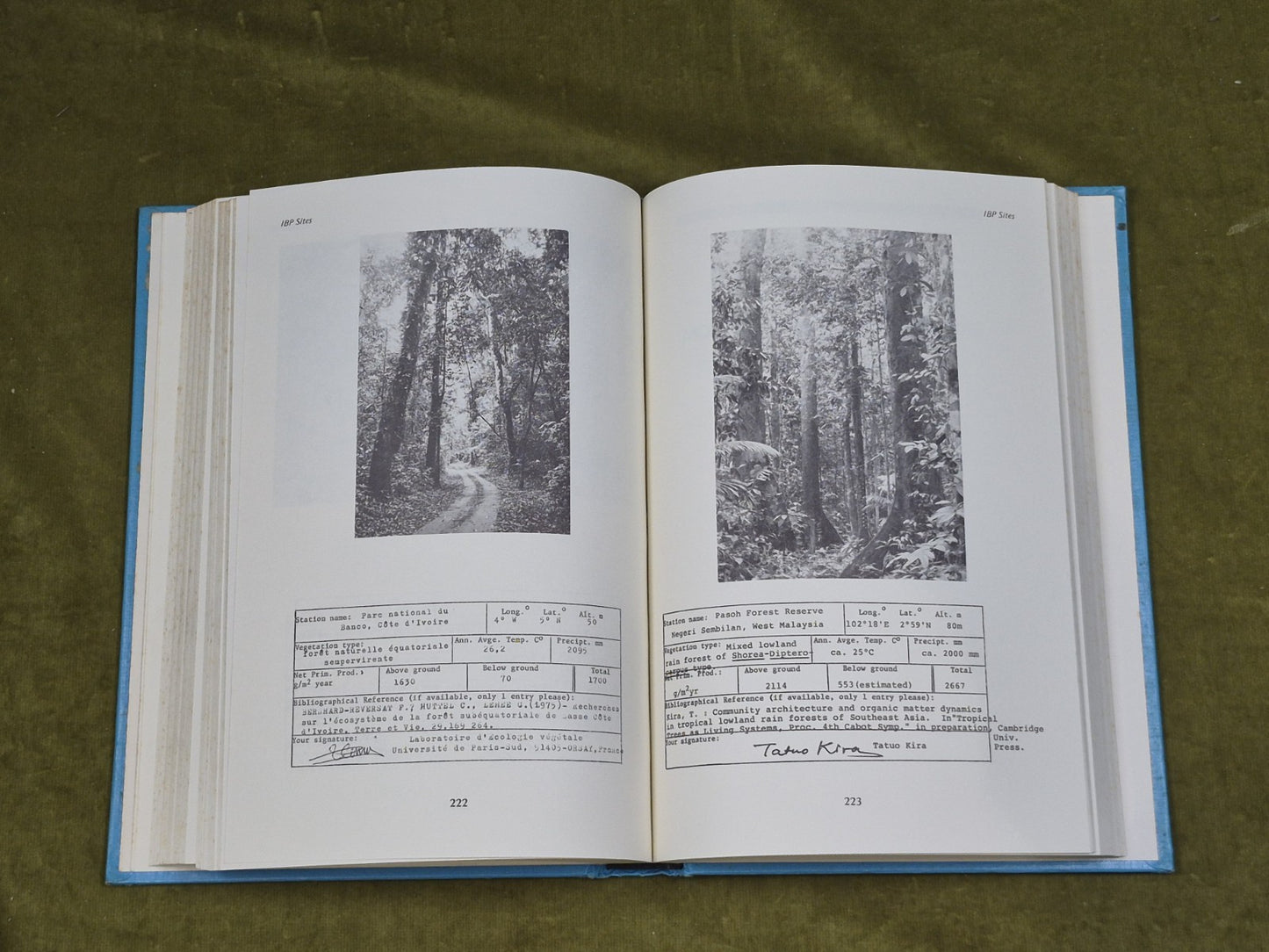 Patterns of Primary Production in the Biosphere - Helmut F H Lieth , Hutchinson 6