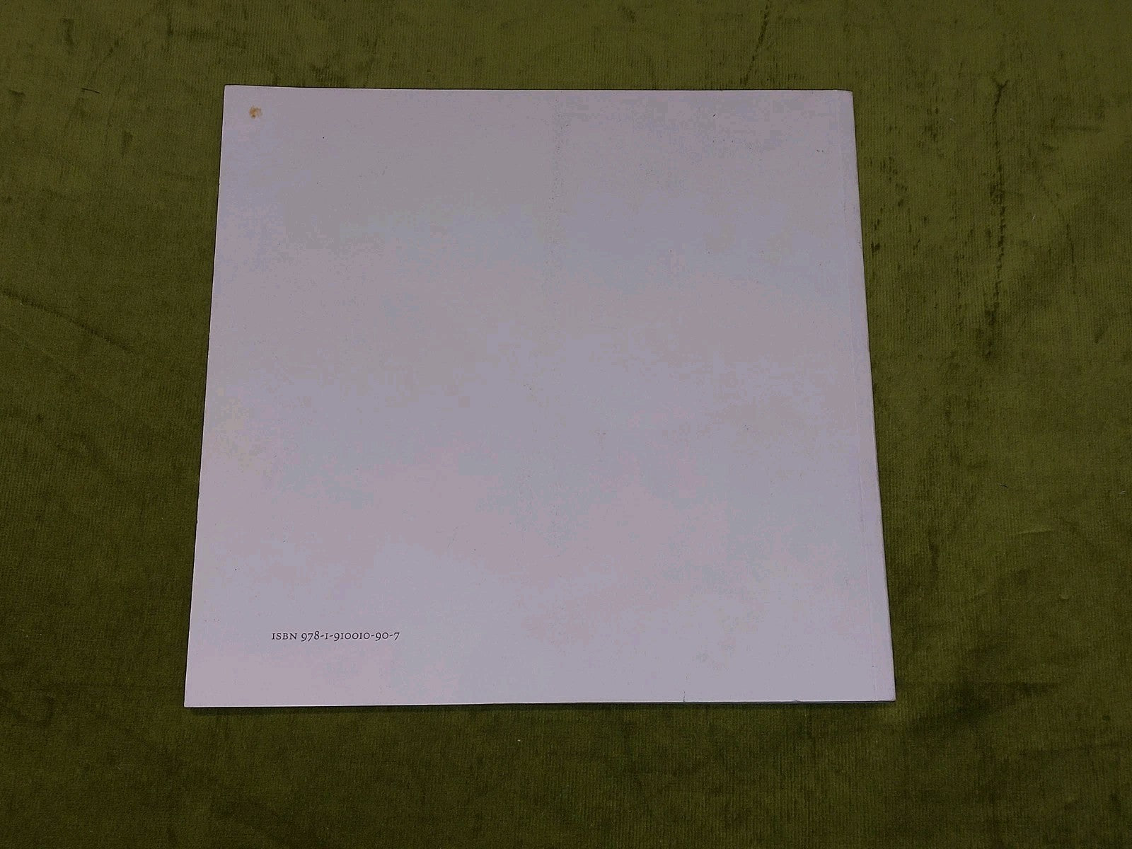 A Seeming Diversity By Janet Boulton (2018) Swindon Museum & Art Gallery Book7