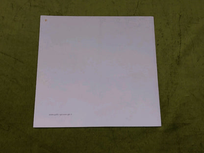 A Seeming Diversity By Janet Boulton (2018) Swindon Museum & Art Gallery Book7