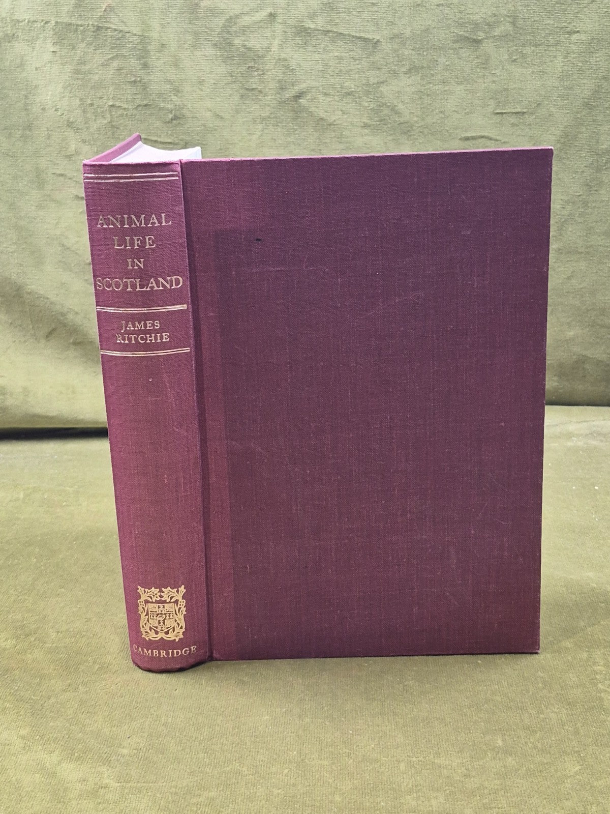 The Influence Of Man On Animal Life In Scotland - James Ritchie, Cambridge 19200