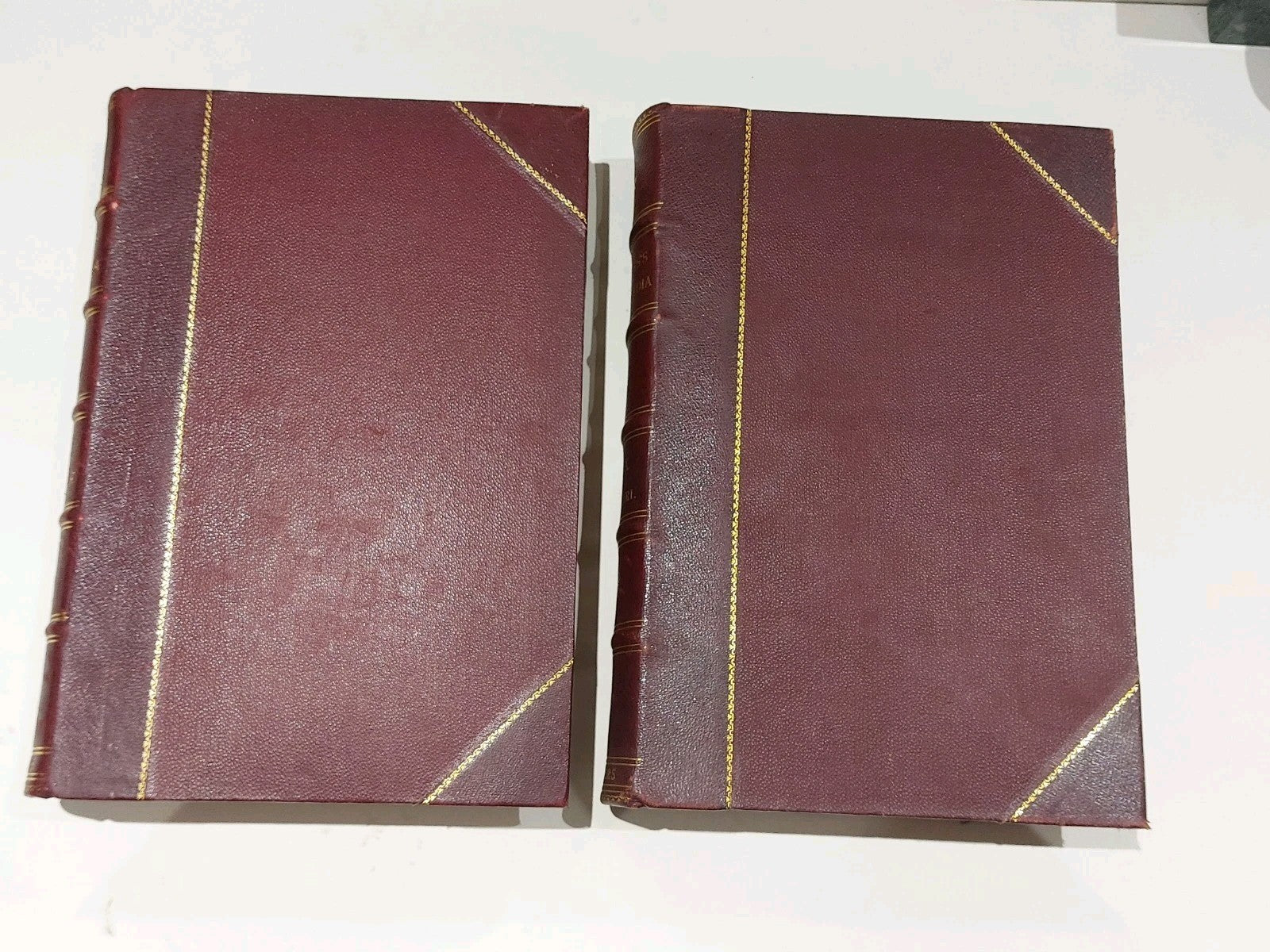 Chamber's Encyclopaedia 10 Vol Set (1901) Heavy Quarter Leather Bound Books3