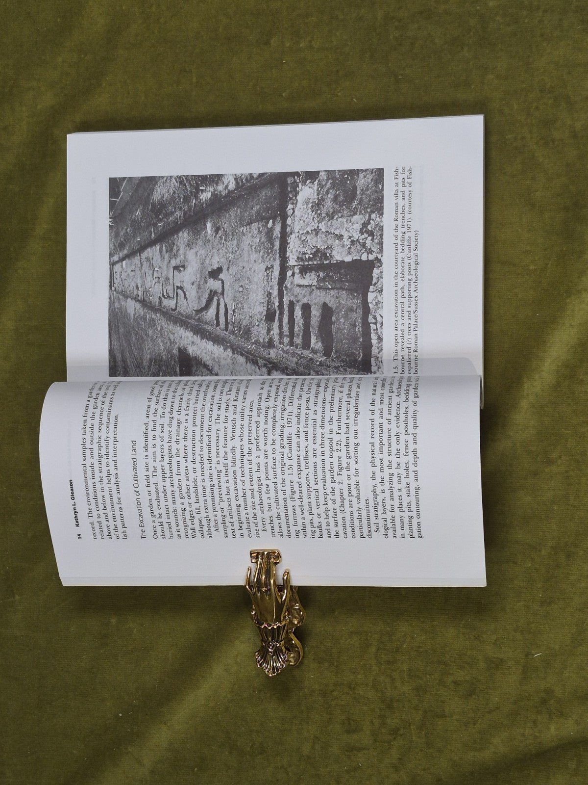 The Archaeology of Garden and Field by Naomi F. Miller & Kathryn L. Gleason5