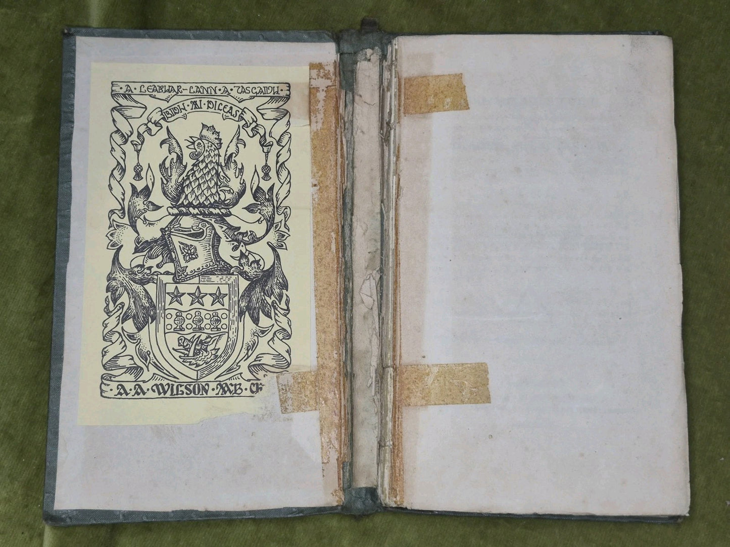 Adhamh Agus Eubh Craobh Sheanachais nam Gael Lachlan 1837 Mac'leon2