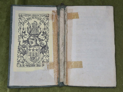 Adhamh Agus Eubh Craobh Sheanachais nam Gael Lachlan 1837 Mac'leon2