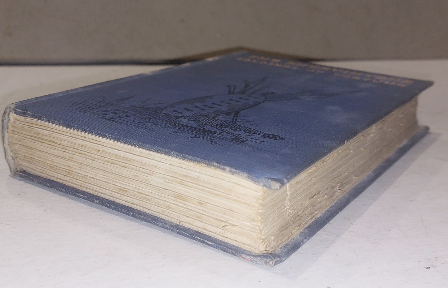 The Shervintons - Soldiers Of Fortune By Kathleen Shervinton (1899) Hb Book7