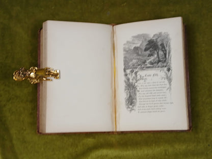The  Lay of the Last Minstrel - Sir Walter Scott , A & C Black , 1854 Decorative6