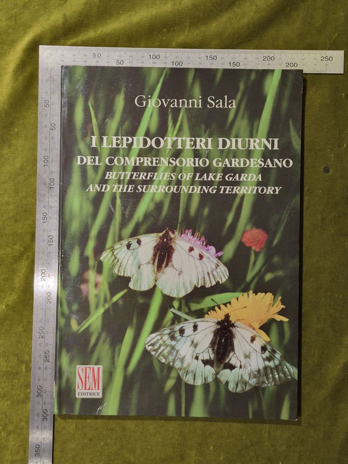 I Lepidotteri Diurni del Comprensorio Gardensano - Giovanni Sala3