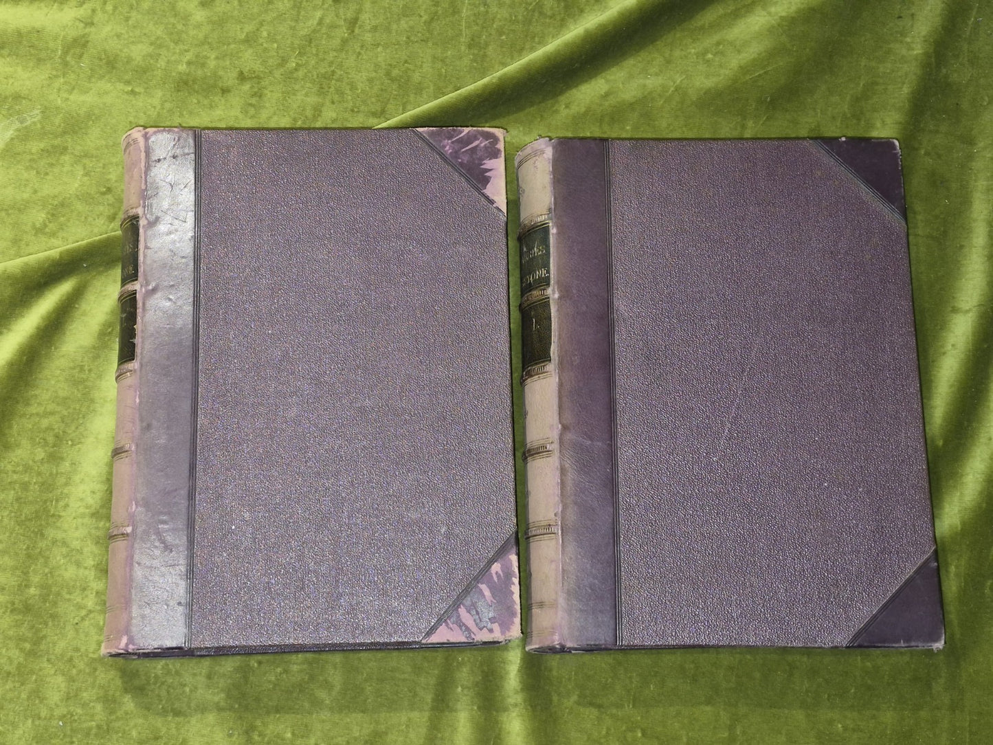 The Pictorial Edition David Livingston Fullarton c1880 Complete Two Volumes1