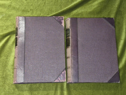 The Pictorial Edition David Livingston Fullarton c1880 Complete Two Volumes1