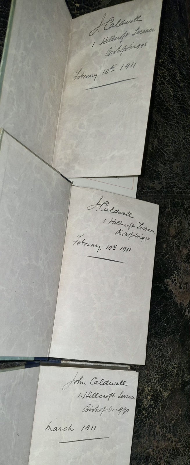 John Ruskin Blackfriars Editions 20 Volume Set Modern Painters Stones Of Venice 6