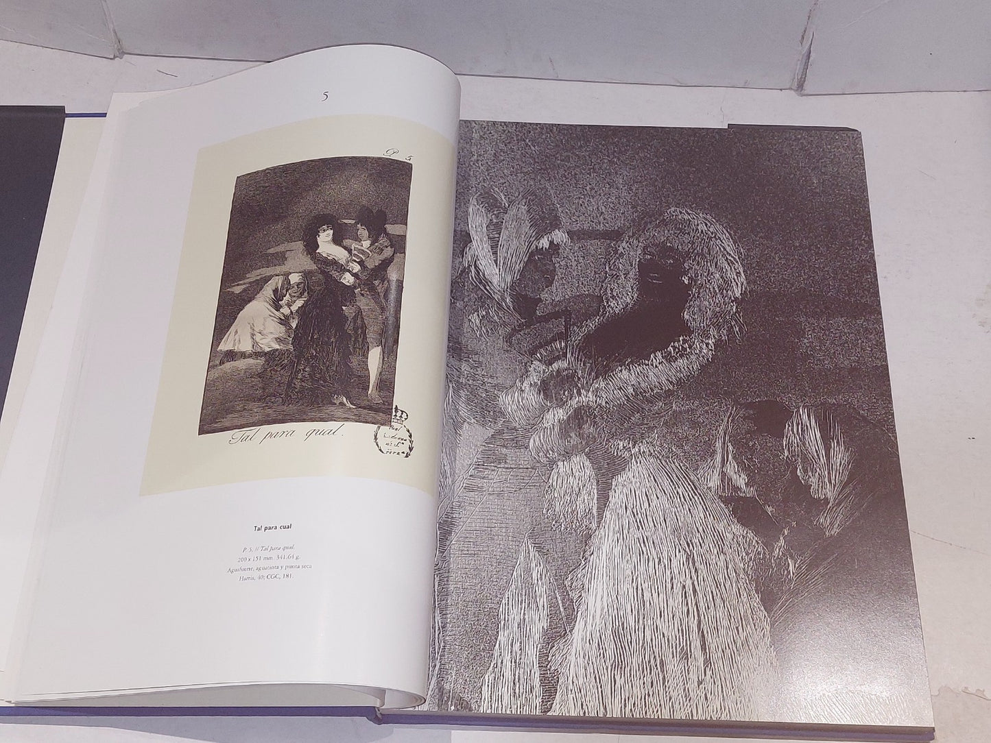 francisco de goya  grabador  instantaneas  caprichos (1992) madrid hb book6