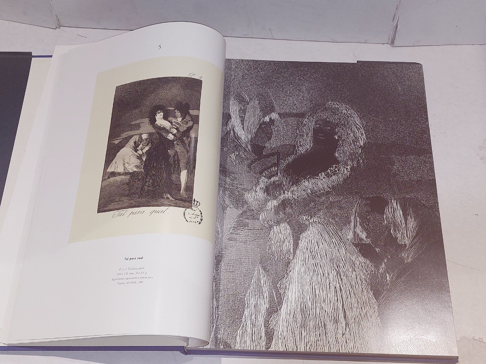 francisco de goya  grabador  instantaneas  caprichos (1992) madrid hb book6