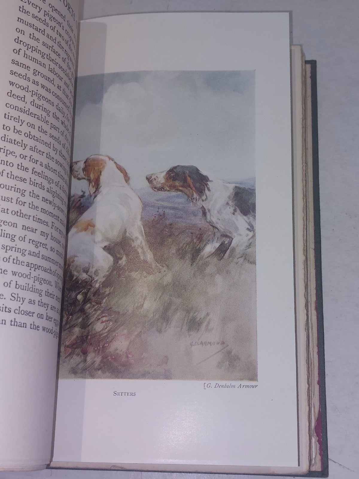 Wild Sports And Natural History Of The Highlands, Charles St John	 (1927) Hb4