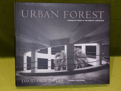 Urban Forest (2003) David Paul Bayles0