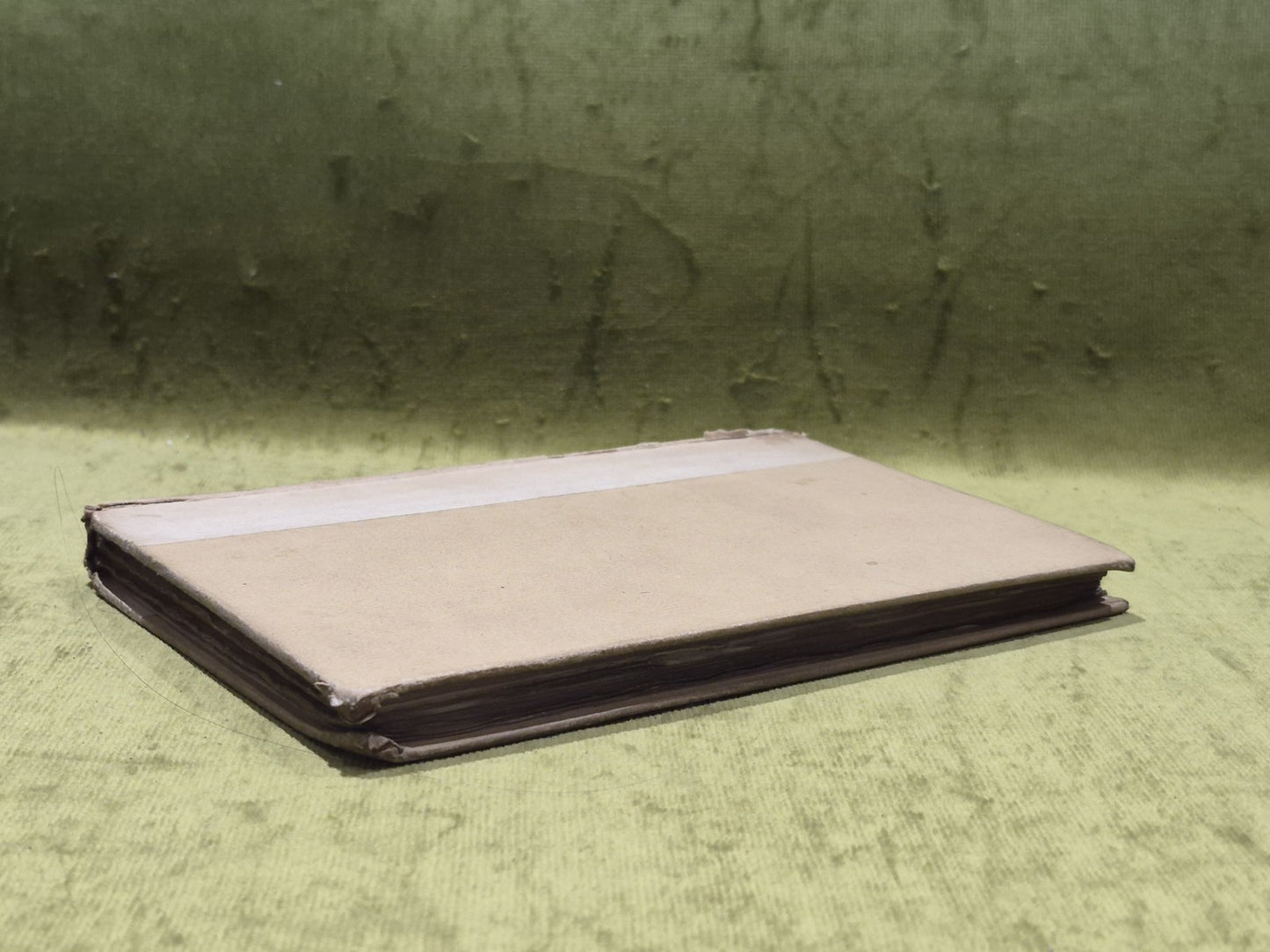 The Poems of Arthur Henry Hallam, [Elkin Mathews & John Lane] (1893) Hb Book5