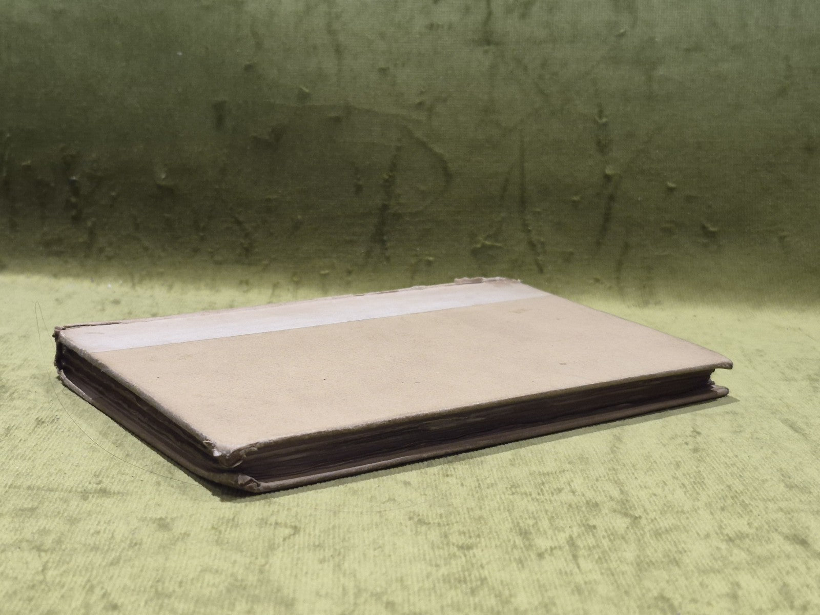 The Poems of Arthur Henry Hallam, [Elkin Mathews & John Lane] (1893) Hb Book5