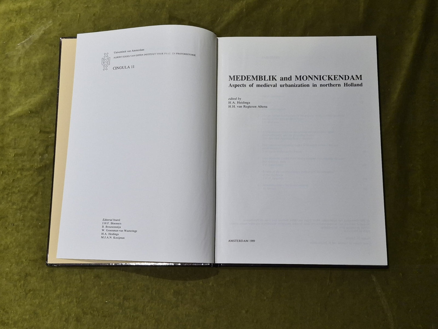 Medemblik and Monnickendam: Aspects of medieval Urbanization in Northern Holland4
