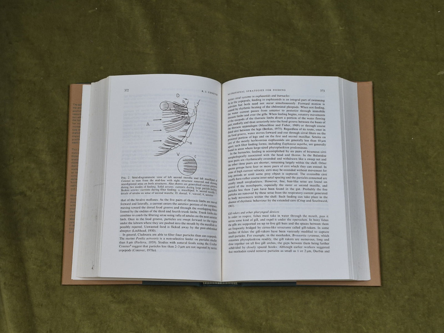 ANALYSIS OF MARINE ECOSYSTEMS By A. Longhurst- HC/DJ- 19816