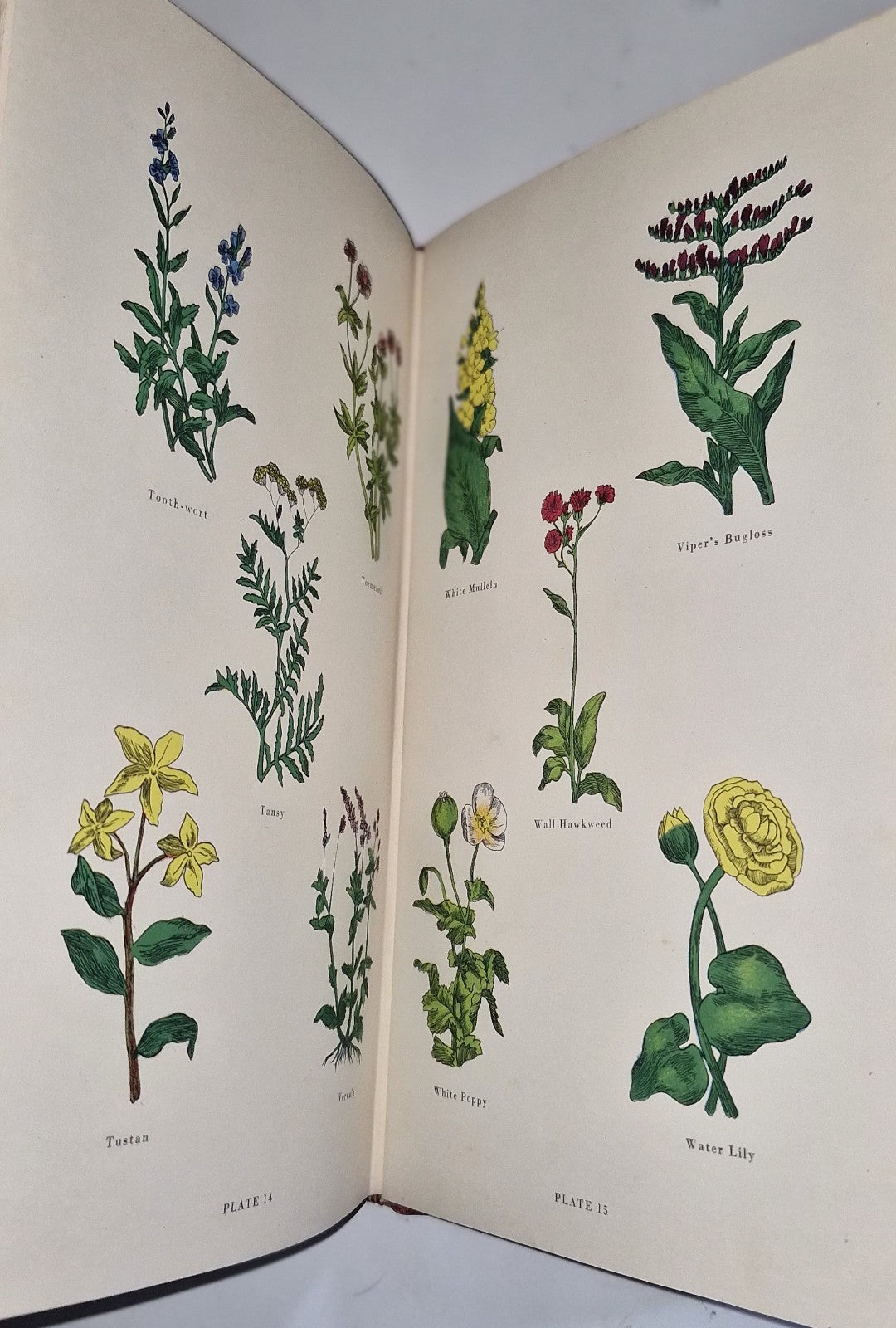 The Complete Herbal By Nicholas Culpeper 1953 Facsimile Edition ICI11