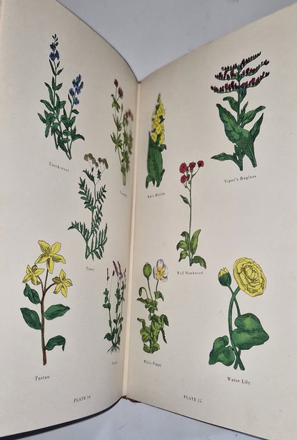 The Complete Herbal By Nicholas Culpeper 1953 Facsimile Edition ICI11