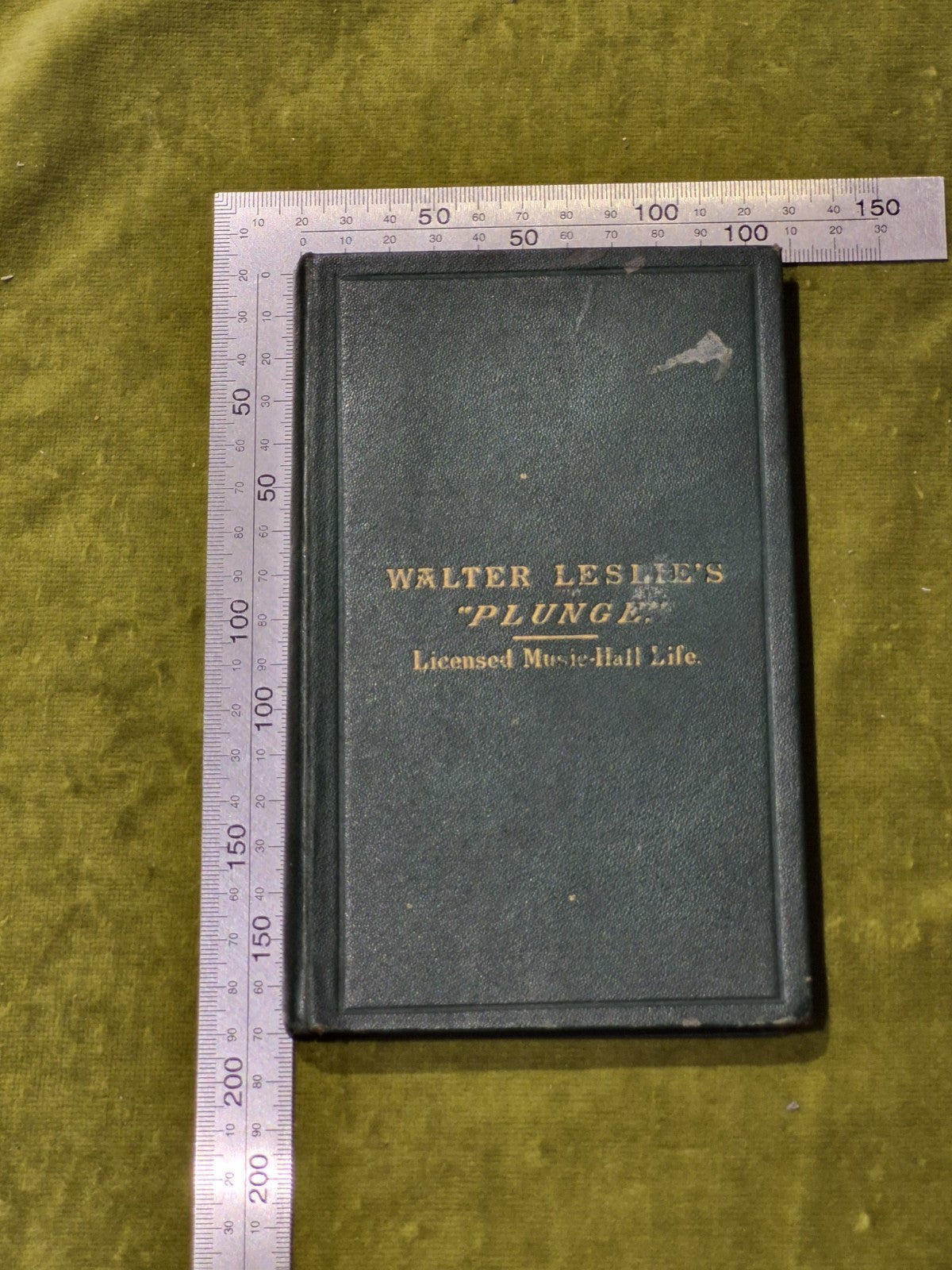 Walter Leslie's Plunge: Licensed Music-Hall Life - Richard Rollingstone0