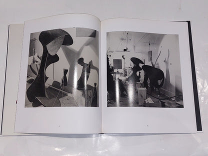 The Surreal Calder by Mark Rosenthal, Francisco Calvo Serraller (2006) Hb Book2