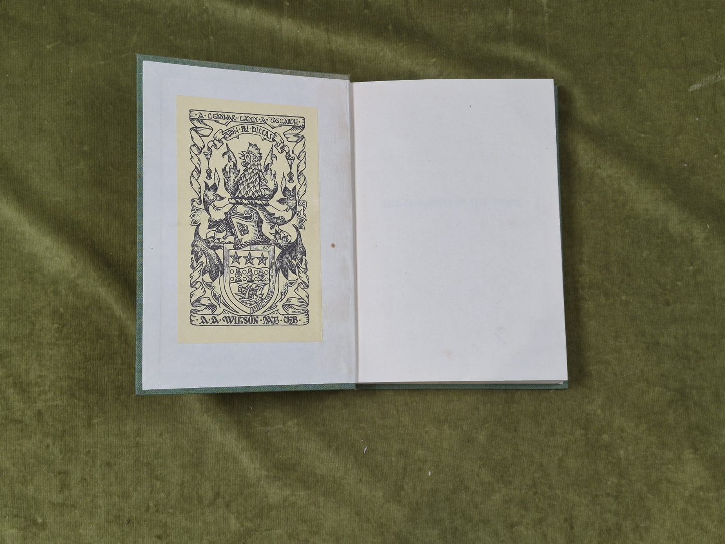 The Jacobites and the Union - Charles Stanford Terry , Cambridge 19224