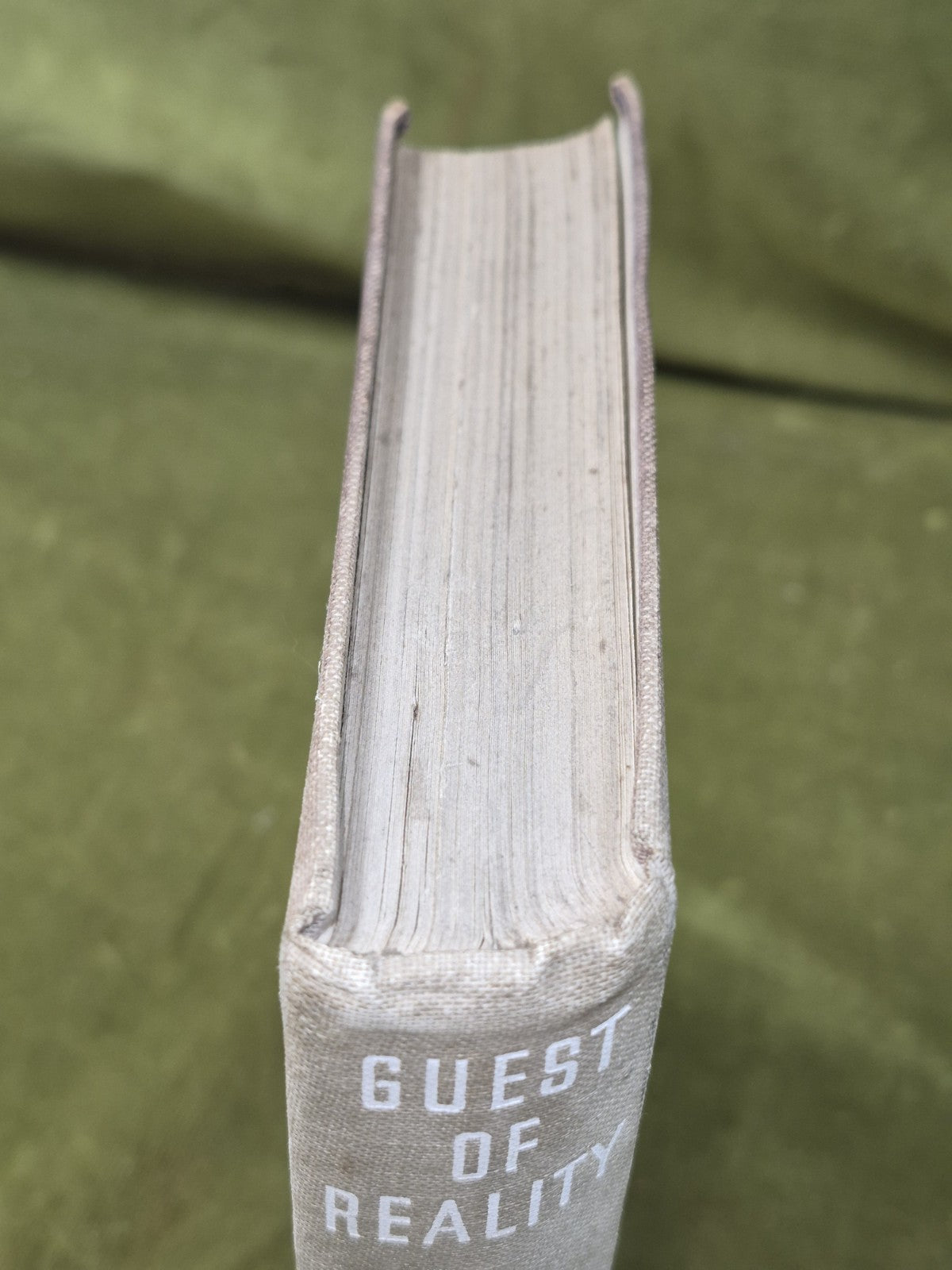 Guest of Reality First Edition Erik Mesterton Jonathan Cape 19362