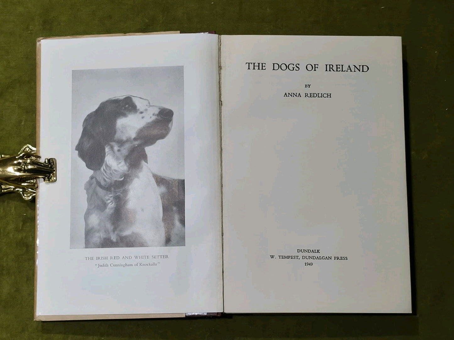 The Dogs of Ireland – 1st Ed 1949 – Anna Redlich – Irish Breeds – w/ Dust Jacket4