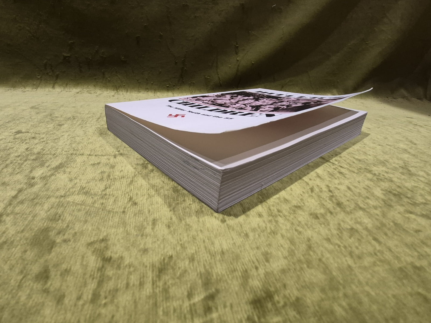 Hitler's Children: The Hitler Youth and the SS (Paperback or Softback) 19893