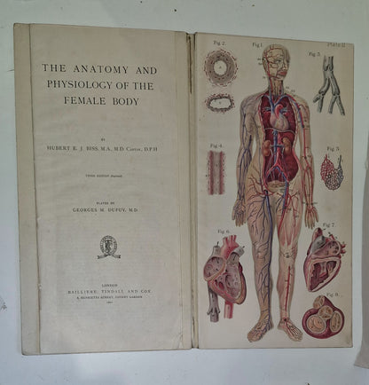 1921 Baillieres Atlas & Anatomy Of The Female Human Body. Swedish Massage Inst.4