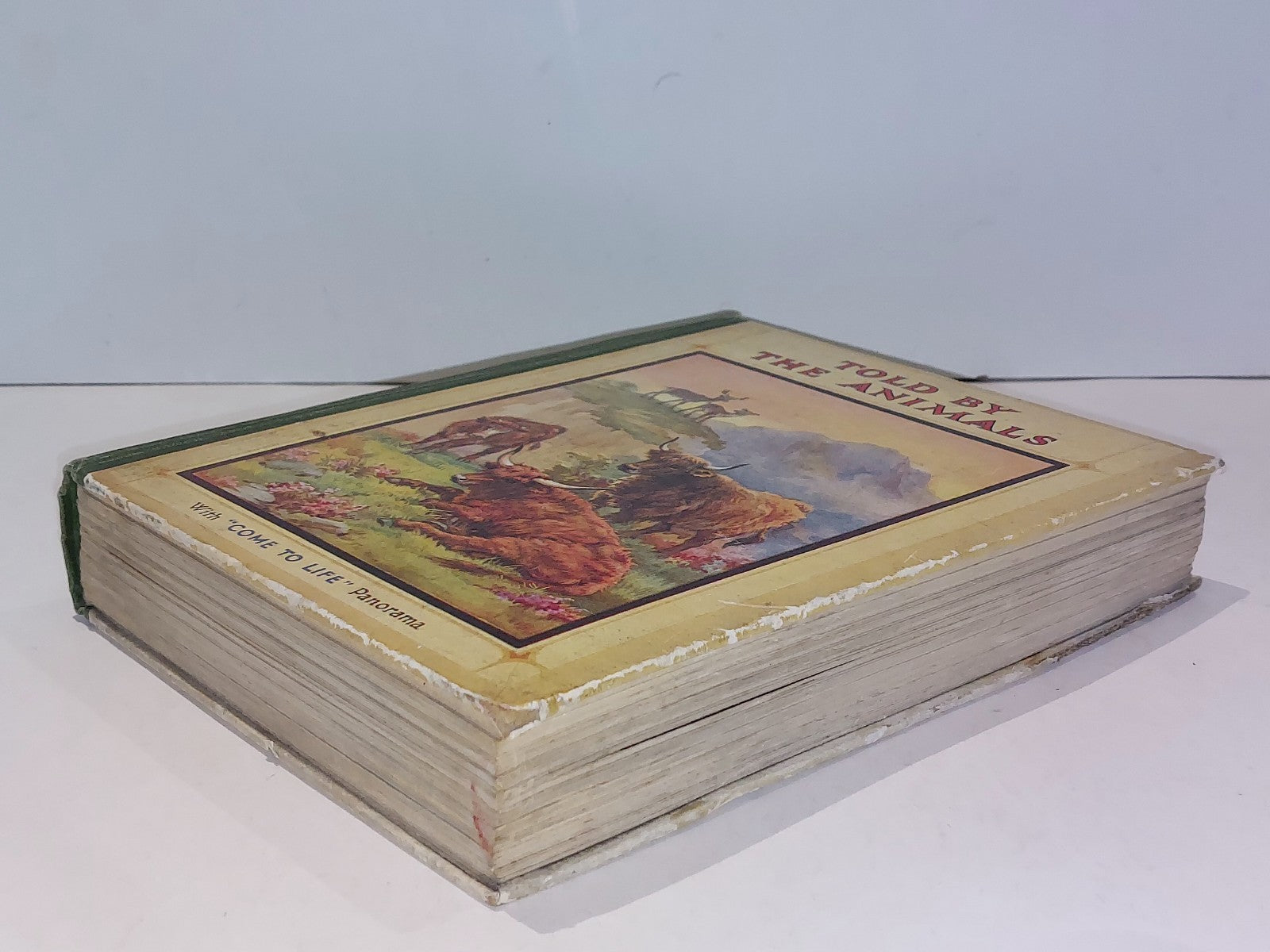 Told by the Animals with "Come to Life" Pop up Panorama Illustrater Edwin Noble8