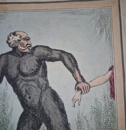 Antique Satirical Political Print. The Orang Outang  The Beast That Violates...2