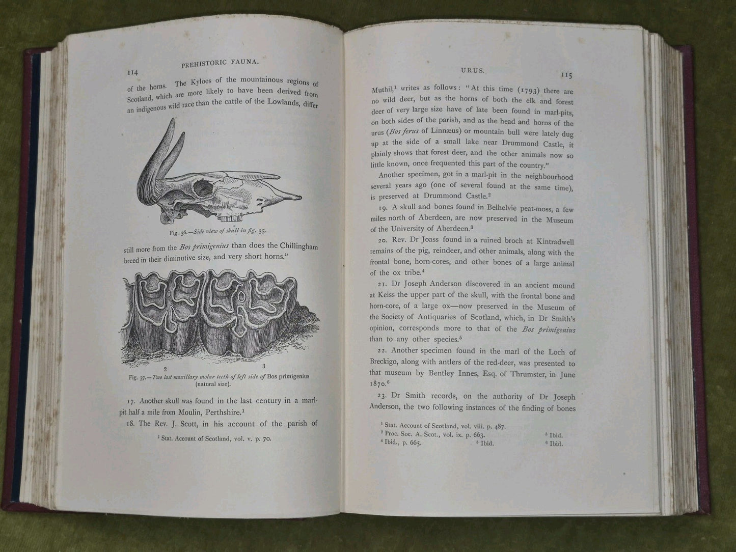 Prehistoric Scotland and its Place in European Civilisation 1899 Robert Munro7