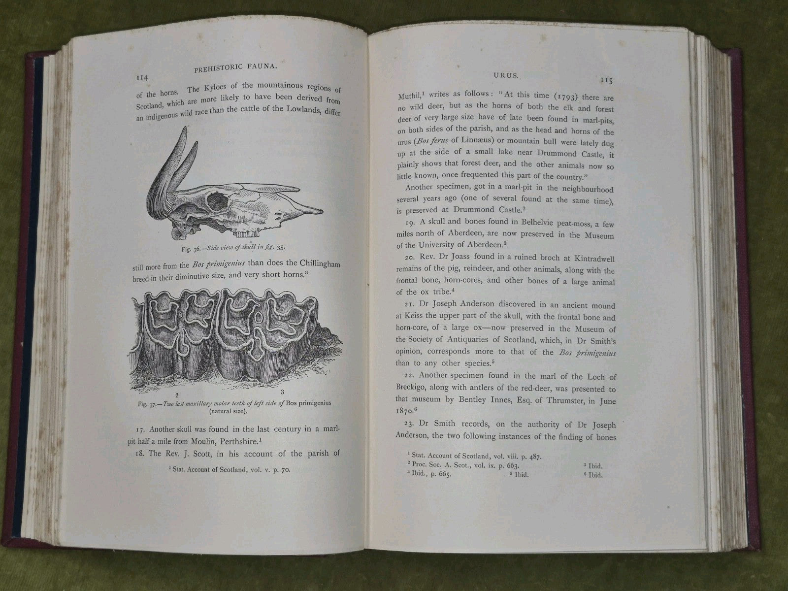 Prehistoric Scotland and its Place in European Civilisation 1899 Robert Munro7