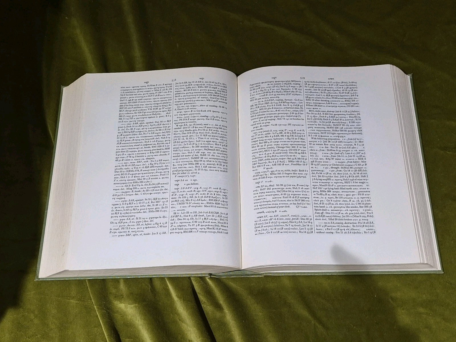 A Coptic Dictionary. W. E. Crum 1962 Hardback.6