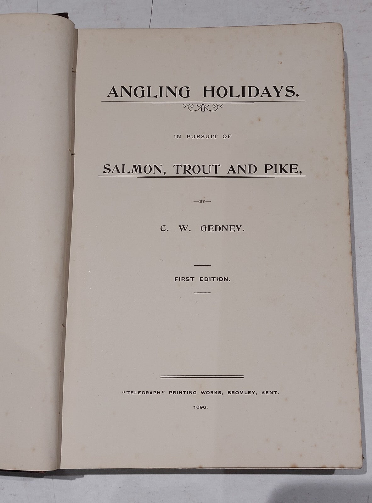 1896 Angling Holidays C W Gedney First Edition Illustrated2