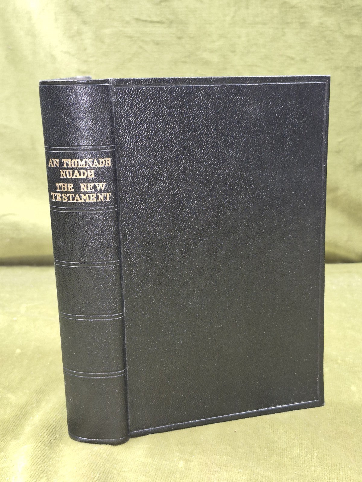 Tiomnadh Nuadh Biobull 1933 Comunn-Bhiobull Duthchail Na H-Alba0