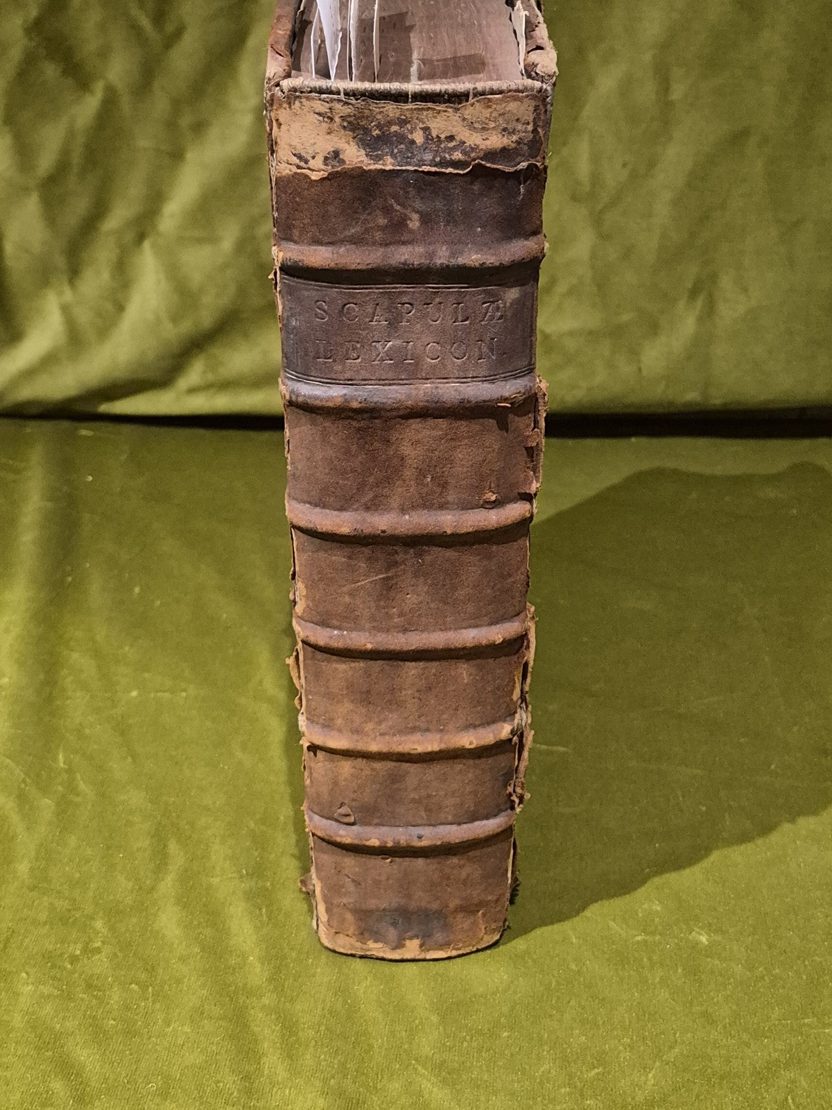 1637 Greek-Roman Lexicon - In Quo Ex Primitivorum - Ioannis Scapulae - Leather1