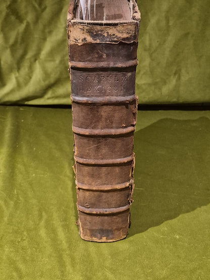 1637 Greek-Roman Lexicon - In Quo Ex Primitivorum - Ioannis Scapulae - Leather1