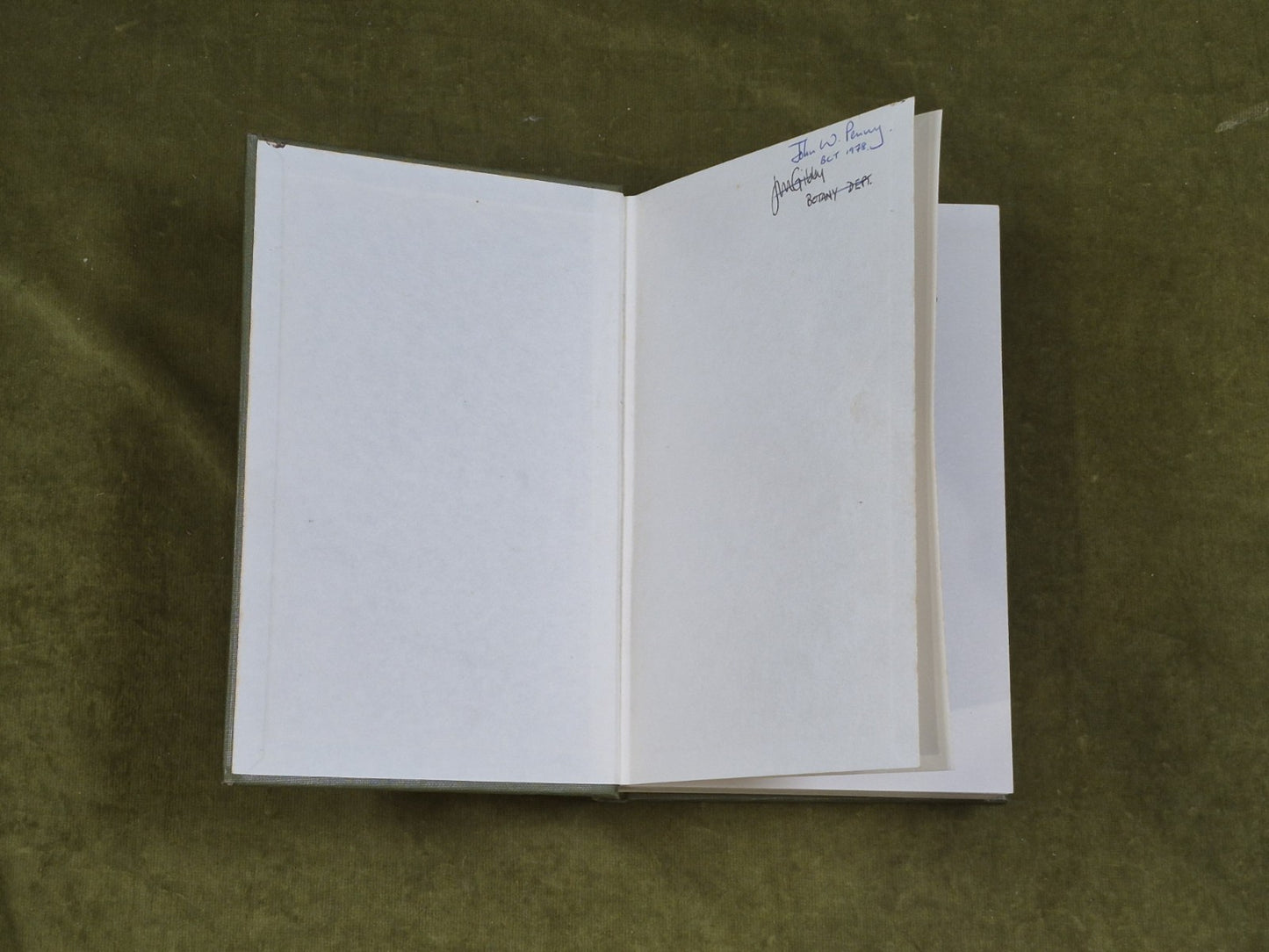 A Handbook of the British Seaweeds Lily Newton , British Museum 19623