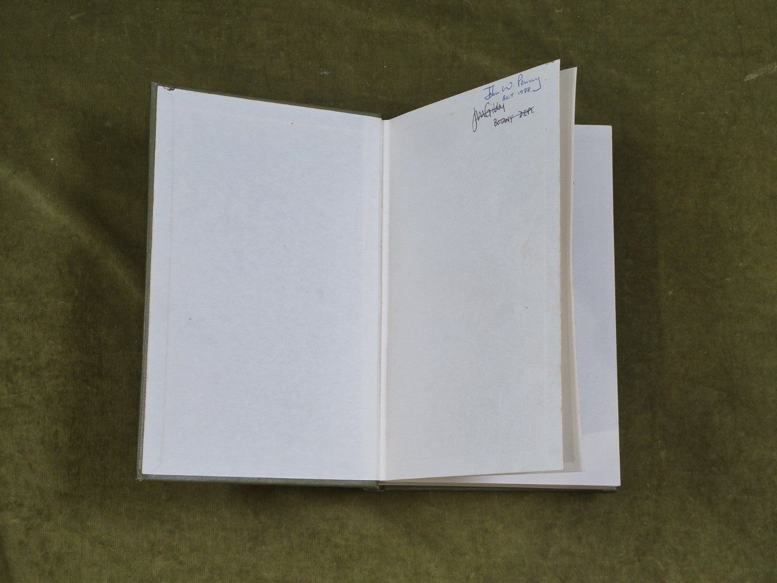 A Handbook of the British Seaweeds Lily Newton , British Museum 19623
