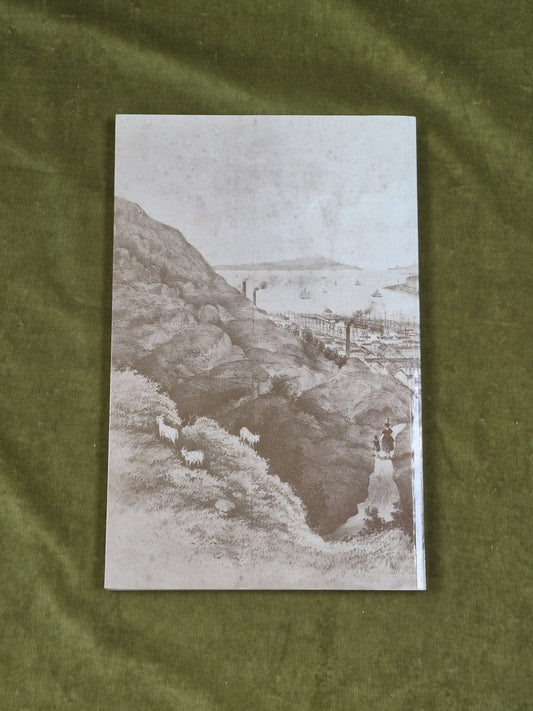 History and Directory of West Cumberland - T Bulmer , Michael J. Moon , 19941