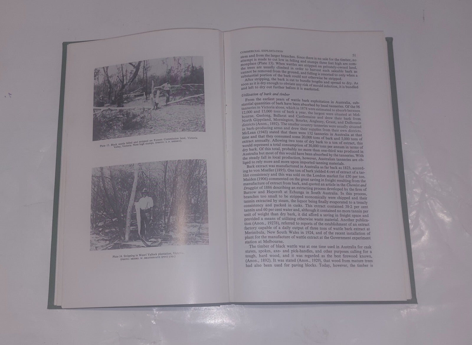 The Black Wattle By S. P. Sherry, University Of Natal Press (1971) Book7